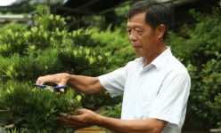 Trồng cây cảnh, trồng hoa như 'vườn thượng uyển', một tỷ phú Hà Giang là 'Nông dân Việt Nam xuất sắc 2022'