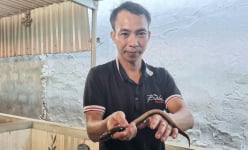 Trai làng 8X Ninh Bình nuôi lươn không bùn trong bể xi măng thu lãi trăm triệu mỗi năm