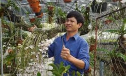 Ở giữa đồng bằng Bắc bộ, trai làng trồng lan rừng thành vườn đẹp 'phát hờn', lạc vào mải ngắm quên đường về