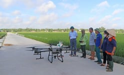 Sử dụng thiết bị bay trong sản xuất nông nghiệp, nông dân Hải Dương thu lợi kép