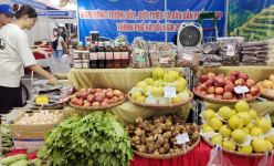 Tràn ngập đặc sản nổi tiếng, nhìn đã muốn mua tại Tuần hàng tư vấn, giới thiệu sản phẩm OCOP Hà Nội 