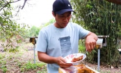 Trại nuôi ong dú độc, lạ 'nhả ra' thứ mật ai cũng muốn nếm ở Bình Châu của Bà Rịa-Vũng Tàu