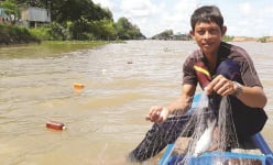 Đây là loài cá xưa bơi đầy ngoài sông ở miền Tây, bắt đem làm chả, chiên lên thì thơm khắp xóm làng