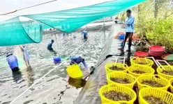 Loài thủy sản nào được Bạc Liêu xác định mục tiêu xuất khẩu đạt 1 tỷ đô la năm 2023?