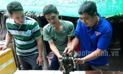 Nuôi dày đặc con nhìn ghê, vốc lên cả một đống, một ông nông dân Sóc Trăng bán đắt như tôm tươi