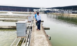 Nuôi cá công nghệ sông trong ao là nuôi kiểu gì mà một tỷ phú Hải Dương bán 500 tấn/năm, thu cả chục tỷ?