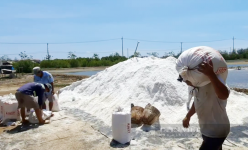 Diêm dân làng muối Cần Giờ mong có hướng bền vững để giữ nghề làm muối