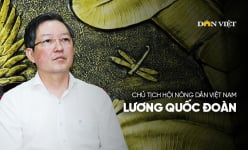 Nông dân Việt Nam xuất sắc, Hợp tác xã tiêu biểu dẫn dắt phong trào thi đua yêu nước trong nông nghiệp, nông thôn