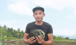 Nuôi loài cá có cái tên lạ, hình thù cũng lạ, cái hồ của một nông dân Khánh Hòa nhiều người đến xem