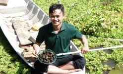 Nông dân hotboy ở Vĩnh Long bắt tay với hơn 200 hộ dân nuôi ốc bươu đen, cùng nhau khá giả