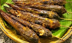Thứ cá lạ ở vùng Nga Sơn của Thanh Hóa, mắt thô lố, trèo cây, đi bộ 'kỳ phùng địch thủ', ăn ngon thôi rồi