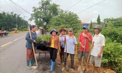 Nơi này ở Đồng Nai, vì sao nông dân chọn trồng hoa huỳnh anh ven đường nông thôn mới?