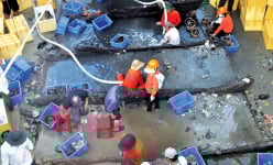 Vùng đất Quảng Ngãi phát lộ nhiều tàu cổ đắm chìm, ở nơi gọi là Vũng Tàu phát hiện nhiều tàu cổ nhất