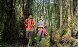 Khu rừng này ở Bà Rịa-Vũng Tàu, cách Sài Gòn 150km đẹp huyền bí kiểu gì mà nhiều người vô xem?