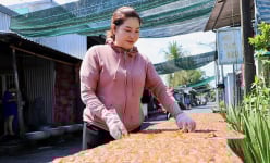 Con vật là loài ngoại lai nguy hại này được một THT ở Cần Thơ làm kiểu gì mà bán chạy như tôm tươi?