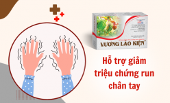 Vương Lão Kiện - Giải pháp hỗ trợ giảm run an toàn, hiệu quả cho người bệnh run tay chân