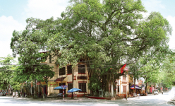 Cách Hà Nội 90km có một nơi ở Phú Thọ, hơn 100 năm trước làng lên thị xã, nay vẫn là thị xã