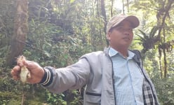 Con vật hoang dã quái ác chuyên rình 'ăn trộm của quý' từ rừng ở Kon Tum, dân nói vừa yêu vừa hận