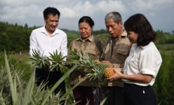 Hội Nông dân Bắc Giang là nòng cốt trong nông nghiệp hàng hóa, nâng cao chất lượng sản phẩm OCOP