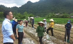 Đào tạo nghề cho lao động nông thôn: Bước đi chiến lược và hiệu quả ở Bắc Kạn