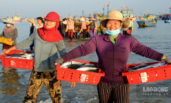 Chợ làng biển ở Quảng Ngãi, trên trời ánh bình minh, dưới tấp nập người mua bán, toàn thấy cá là cá