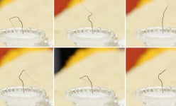 Ban Tôn giáo Chính phủ đề nghị thẩm định nguồn gốc xá lợi tóc Đức Phật trưng bày tại chùa Ba Vàng