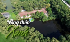NÔNG THÔN XANH: Trang trại lợn xả thải gây ô nhiễm hàng chục năm, xã vẫn 'nói' không nhận được thông tin gì