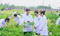 Chủ tịch HĐQT ThaiBinh Seed, Phó TGĐ Doveco nói sinh viên ra trường muốn có công việc tốt, mức lương cao cần 3 điều này