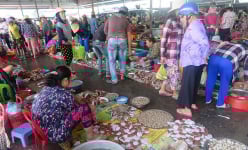 Một chợ cá mua bán tấp nập ở Bình Thuận, trên trời dưới cá ngon, có ốc to lạ, ô tô nối đuôi nhau