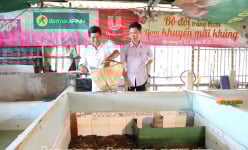 Ở một nơi của Sóc Trăng, nông dân nuôi lươn kiểu gì mà dày đặc, toàn con to, vợt lên dễ như ăn kẹo?