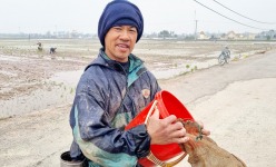 Nông thôn mới Ninh Bình, một giáo dân Kim Sơn làm kinh tế giỏi, gương mẫu hiến đất làm đường