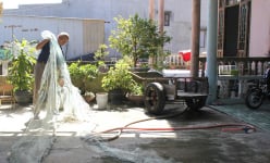 Mực nhện là con gì mà dân ở làng này của Quảng Trị bắt được tươi rói, bán tiền triệu còn ăn thoải mái?