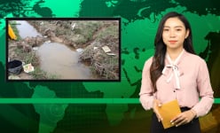Bản tin Dân Việt Nóng 8/2: Vỏ bao bảo vệ thực vật vứt đầy kênh mương gây ô nhiễm môi trường ở Hà Tĩnh