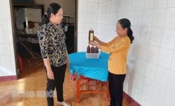 Tới mùa xuất hiện con 'lộc trời', dân Bến Tre vớt bắt lên làm mắm đặc sản, nói tên nhiều người ham mua