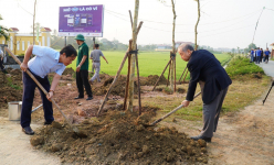 Phòng trào Ngày Chủ nhật xanh ở TT-Huế là điển hình để các tỉnh thành học hỏi 