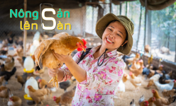 Cô nông dân Sóc Sơn với hành trình hiện thực hóa ước mơ xây nông trại xanh - cung cấp thực phẩm sạch