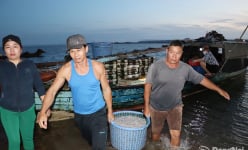 Đồng Nai: Chợ cá bên hồ nước nhân tạo lớn nhất, nhì Việt Nam, dưới nước có con gì, trên bờ có con đó