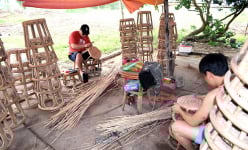 Loài cây mọc hoang trên rừng, nông dân Quảng Ninh làm ra thứ post lên mạng khiến thiên hạ 'phát sốt'