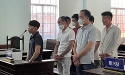 Nhóm 'cẩu tặc' dùng ô tô đi trộm chó lãnh án