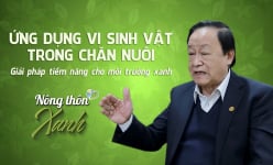 NÔNG THÔN XANH: Ứng dụng vi sinh vật trong chăn nuôi - giải pháp tiềm năng cho môi trường xanh