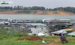 Đồng Nai: Hàng vạn cá giống chết sạch vì hồ Trị An cạn nước, người nuôi cá bè lâm cảnh khổ