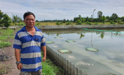 Nuôi con đặc sản 4 chân, tối ngày chìm lặn dưới ao, anh nông dân Hậu Giang có của ăn của để