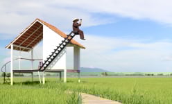 Có một nơi ở An Giang, dân tình kéo nhau ra ruộng uống cà phê mà vẫn thấy mê