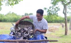 Dân ở Hà Tĩnh lội ao, bắt cá lóc, cá rô to bự, lên bờ nhiều người tranh nhau mua