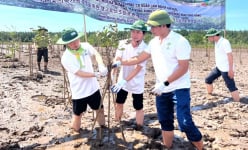 Bộ trưởng Cơ quan Lâm nghiệp Hàn Quốc tham gia trồng rừng ngập mặn tại Ninh Bình