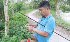 Vô rừng U Minh Thượng ở Kiên Giang đi câu cá lóc, cá rô đồng bằng một thứ mồi ai thấy cũng bất ngờ