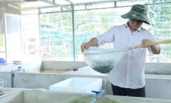 Con đặc sản nuôi dày đặc trong nhà, hai anh nông dân Bà Rịa-Vũng Tàu anh nào cũng thu tiền tỷ