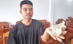 Bỏ nghề cắt tóc, 8X Ninh Bình về quê nuôi loài 'chim tiền tỷ' thu nhập gần 40 triệu/tháng
