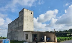 Xây nhà nuôi thứ 'chim tiền tỷ' ở Tây Ninh, 'canh bạc' khó lường, được ăn cả, ngã về không