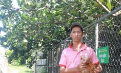 Chàng kỹ sư thủy sản 'liều ăn nhiều', bỏ phố lên rừng nuôi giống gà độc lạ kết hợp làm du lịch sinh thái